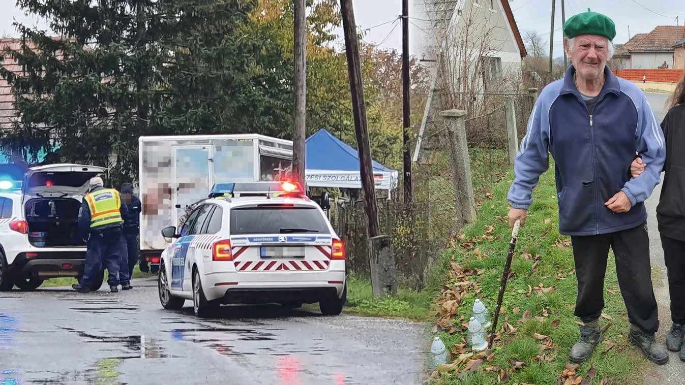 „Képtelenség feldolgozni, azóta is rémálmaim vannak" - jótevője gázolta halálra Mária nénit