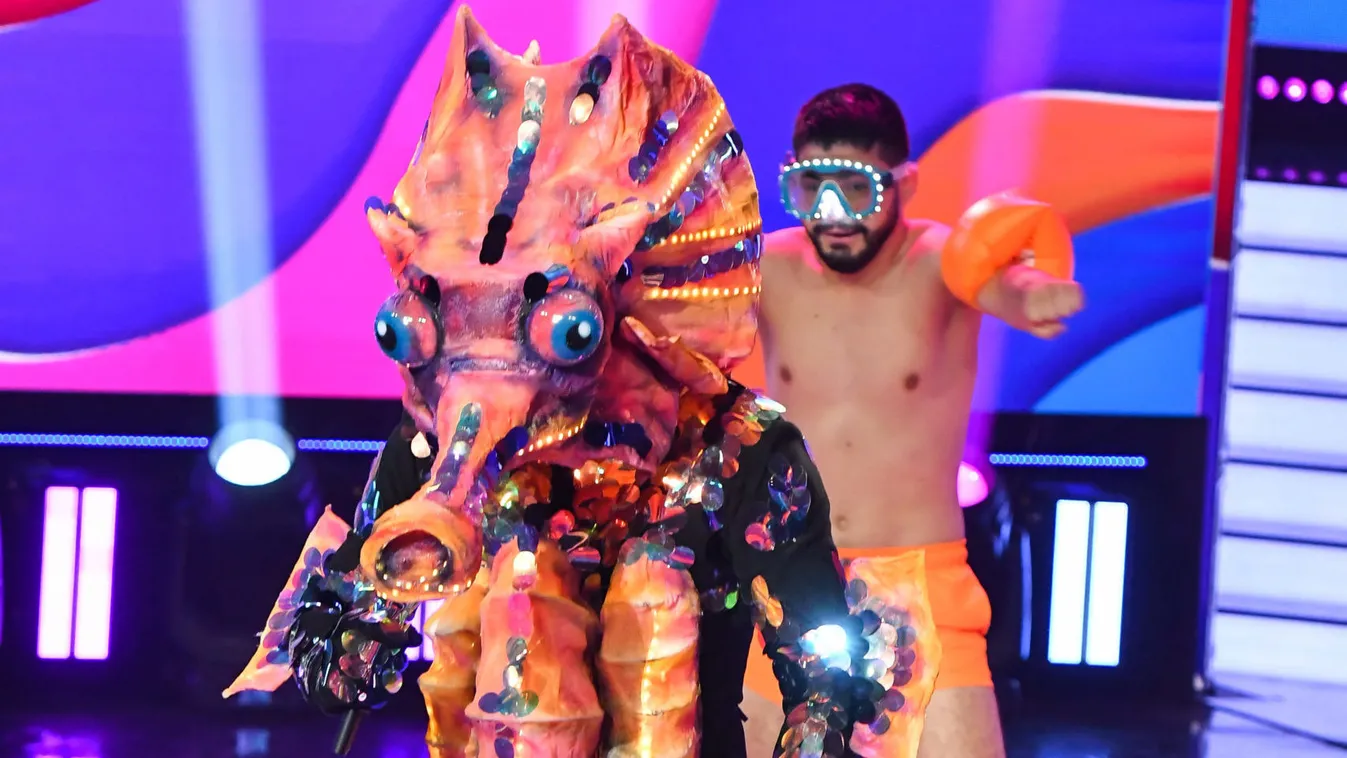 Lelepleződött a Csikóhal, elképesztő, ki volt a jelmez alatt!