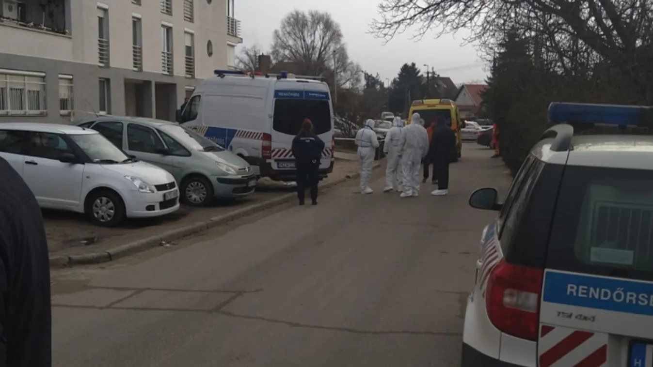 „Dögölj meg!„ – üvöltötte a gyilkos: brutális részletek derültek ki a pénteki fóti gyilkosságról