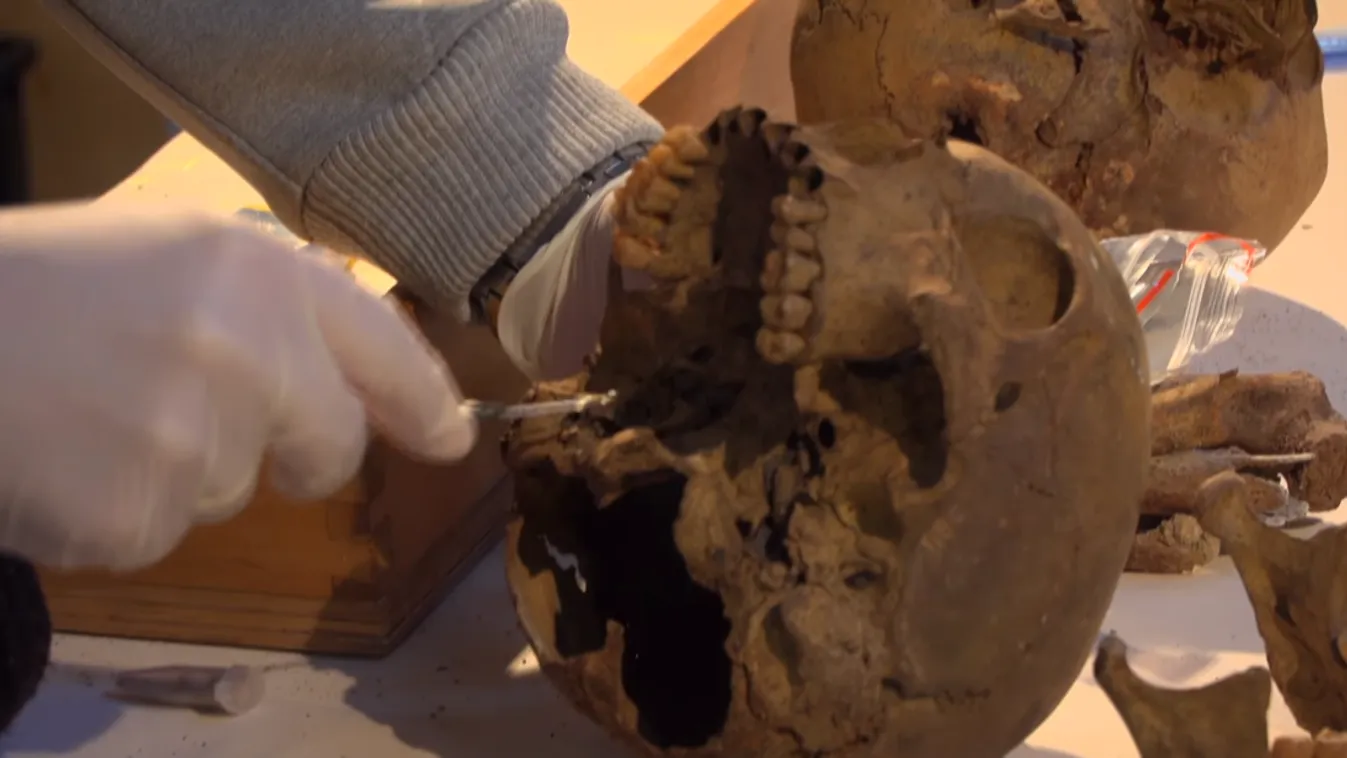 Kásler: fény derülhet a Hunyadi-család származására