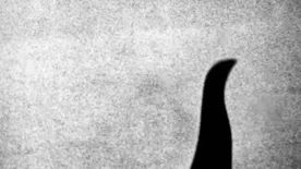 Lerántották a leplet a Loch Ness-i szörny rejtélyéről, íme az igazság