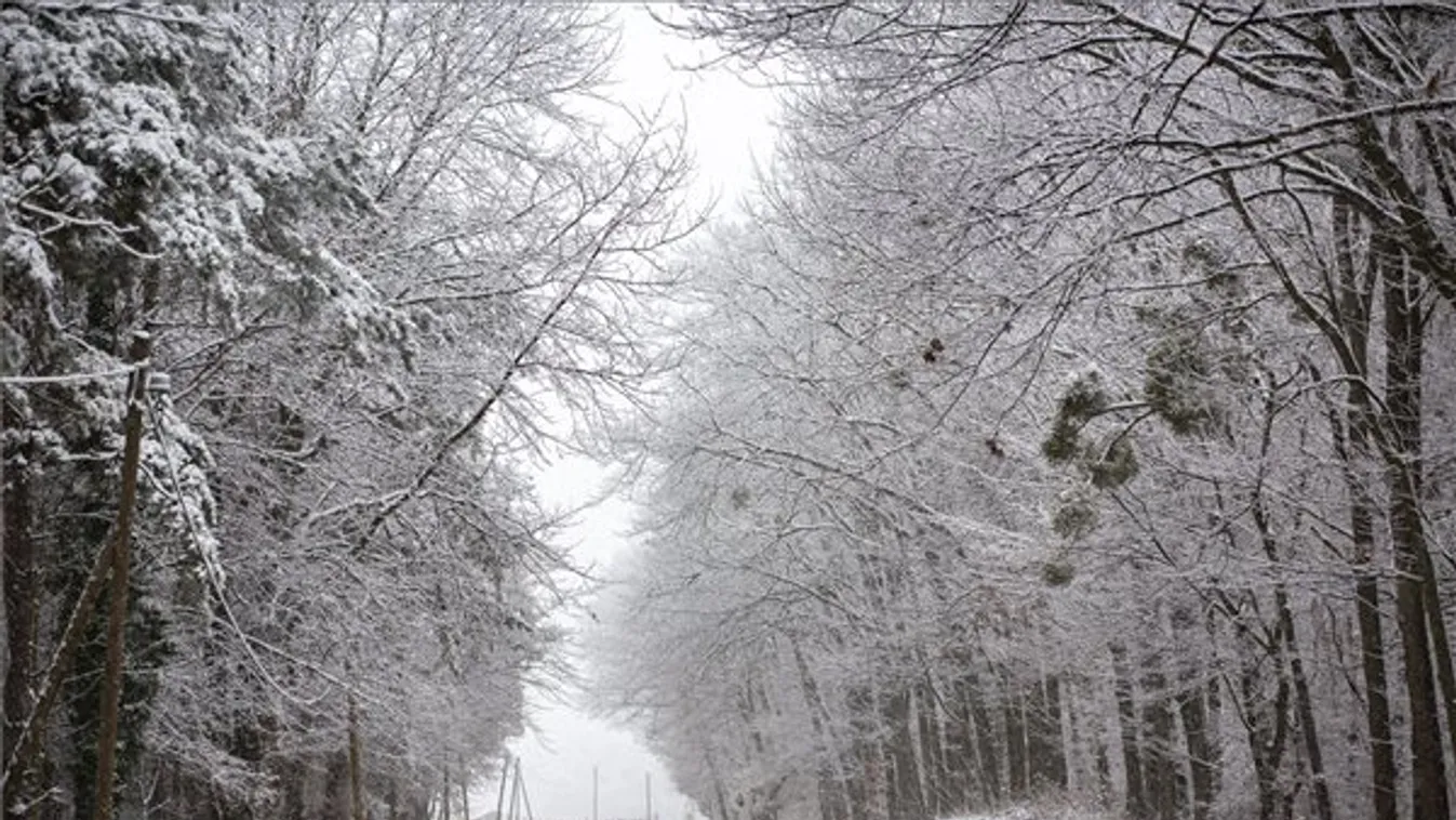 Igaz tél: hideg, köd, havazás várható vasárnap