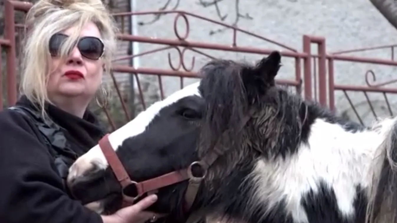 Sokkoló: lovakat lőttek agyon egy rimaszombati faluban