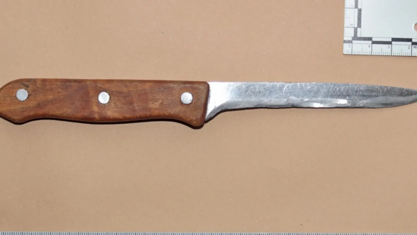 Családi tragédia történt Körömben: leszúrta az apa a fiát