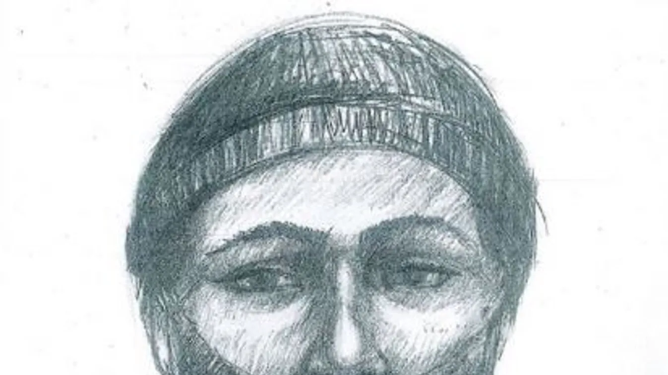 Most kaptuk: ez a férfi támadta meg a családanyát a gödöllői HÉV-en