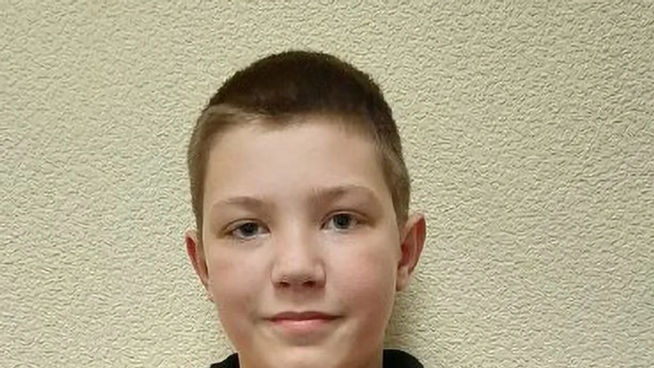 Felfoghatatlan tragédia: részegen bulizott az anya, miközben a 11 éves fiát kutyák marcangolták