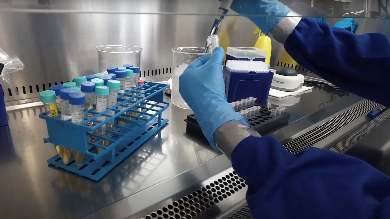 Jól halad a két magyar Covid-oltás fejlesztése