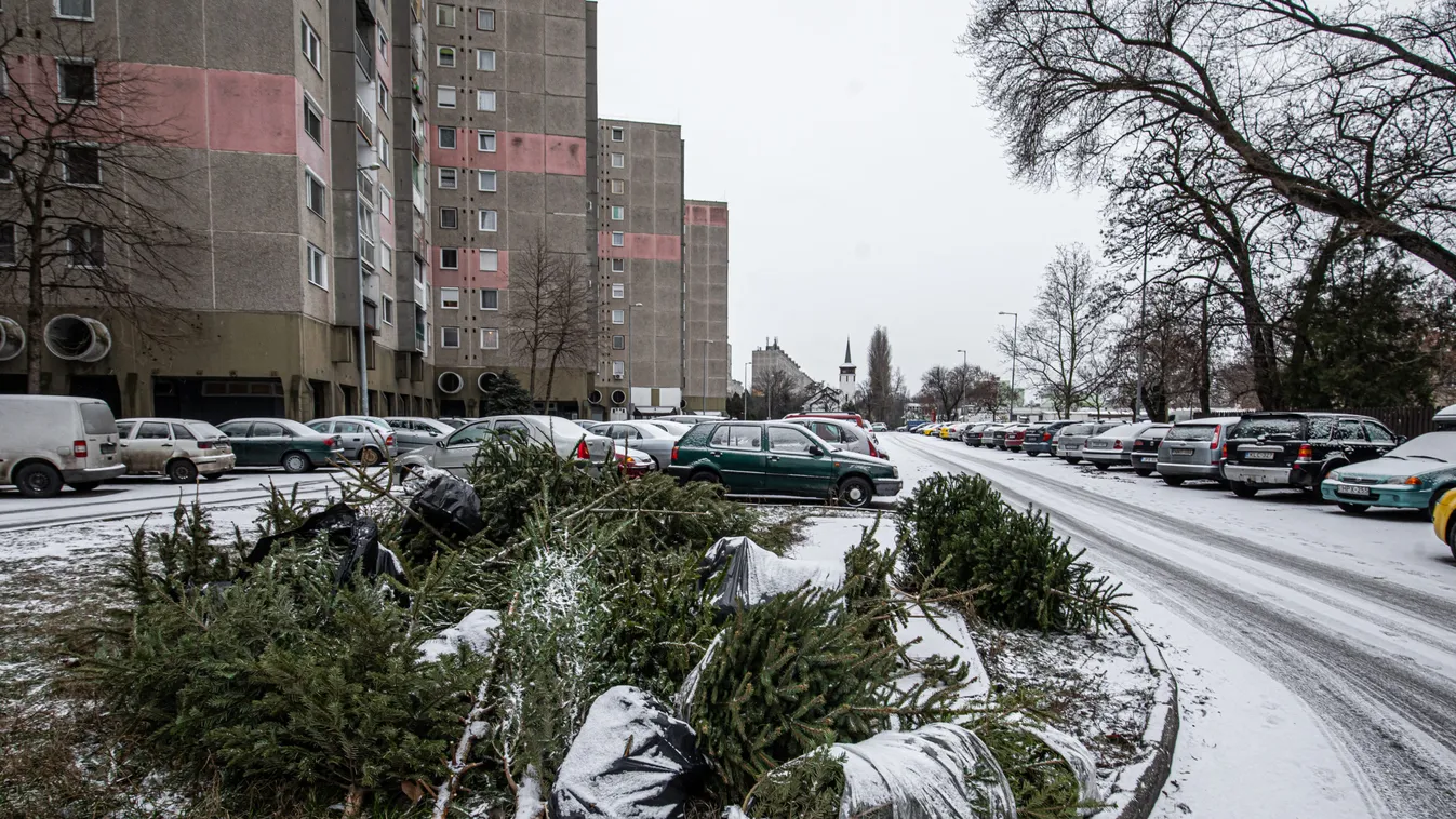 Parkoló autók között és az út szélén hevernek a kidobott karácsonyfák
