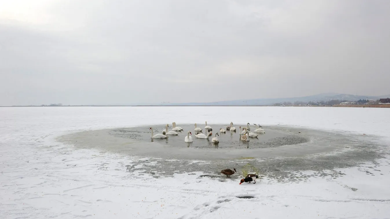 Lementünk strandolni a Velencei-tóra... Januárban
