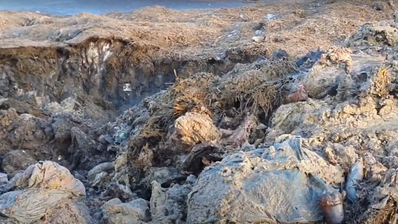 Drámai videó: elképesztő mit tettek a tengerbe fulladt tetemekkel