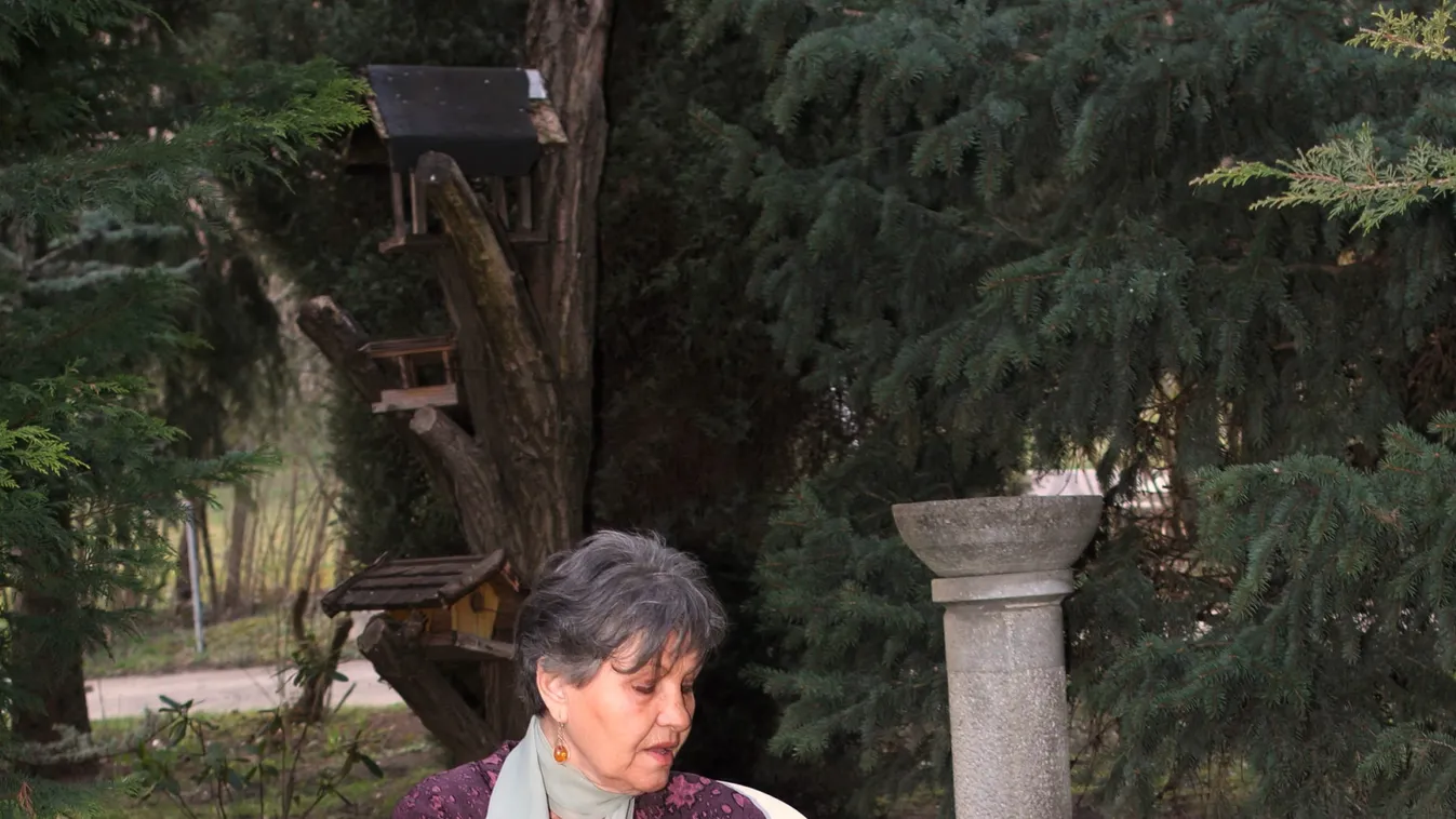 Nem tudni mi lesz a sorsa Pécsi Ildikóék szeretett "tündérkertjének"