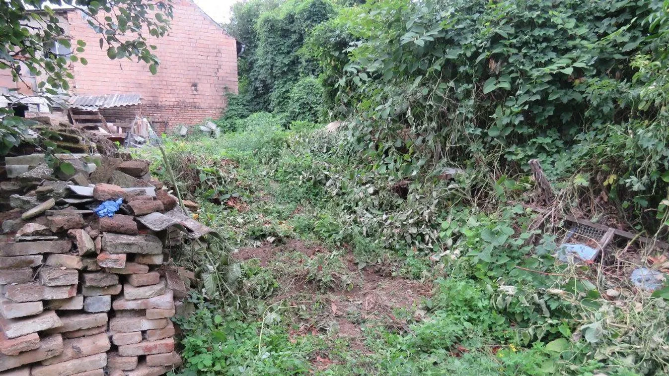 „Megdöglesz!” - vascsővel verte halálra a kutyáját egy férfi Somogyban