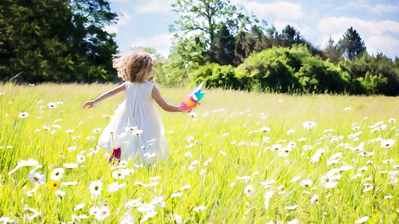 Nem akart hinni a szemének, amikor meglátta kislánya mire bukkant