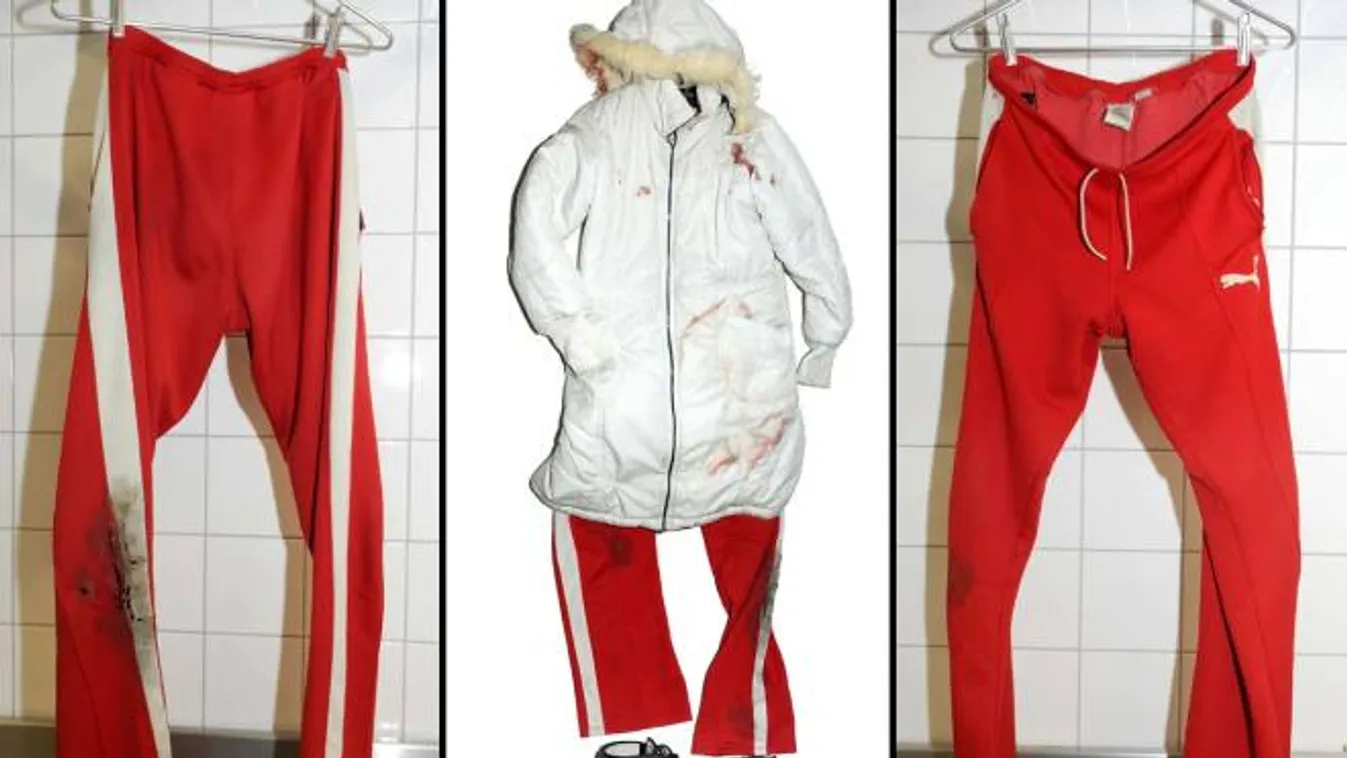 Szír menedékkérőt tartóztattak le a meggyilkolt magyar bejárónő ügyében