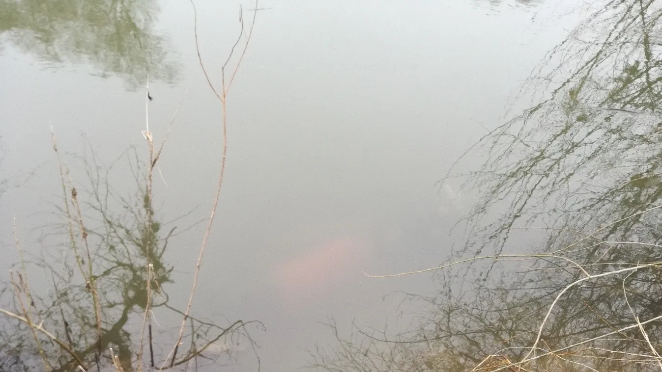 Hihetetlen: elképesztő dolgot találtak a Sajóban a rendőrök - fotó