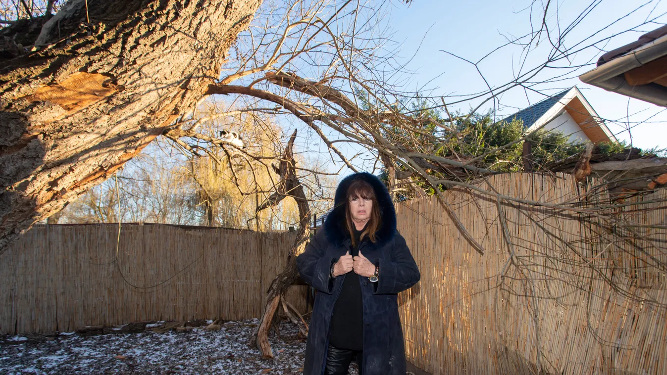 Durva videó: Vihar pusztított Zalatnay Cini kertjében