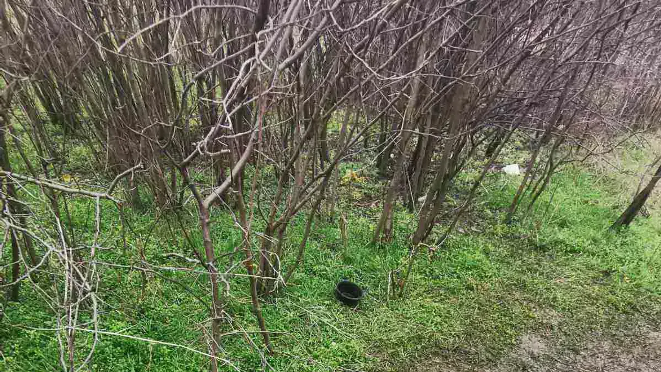 Brutális állatkínzás: nyakánál fogva lógatta a kutyát, lábait dróttal kötözte össze