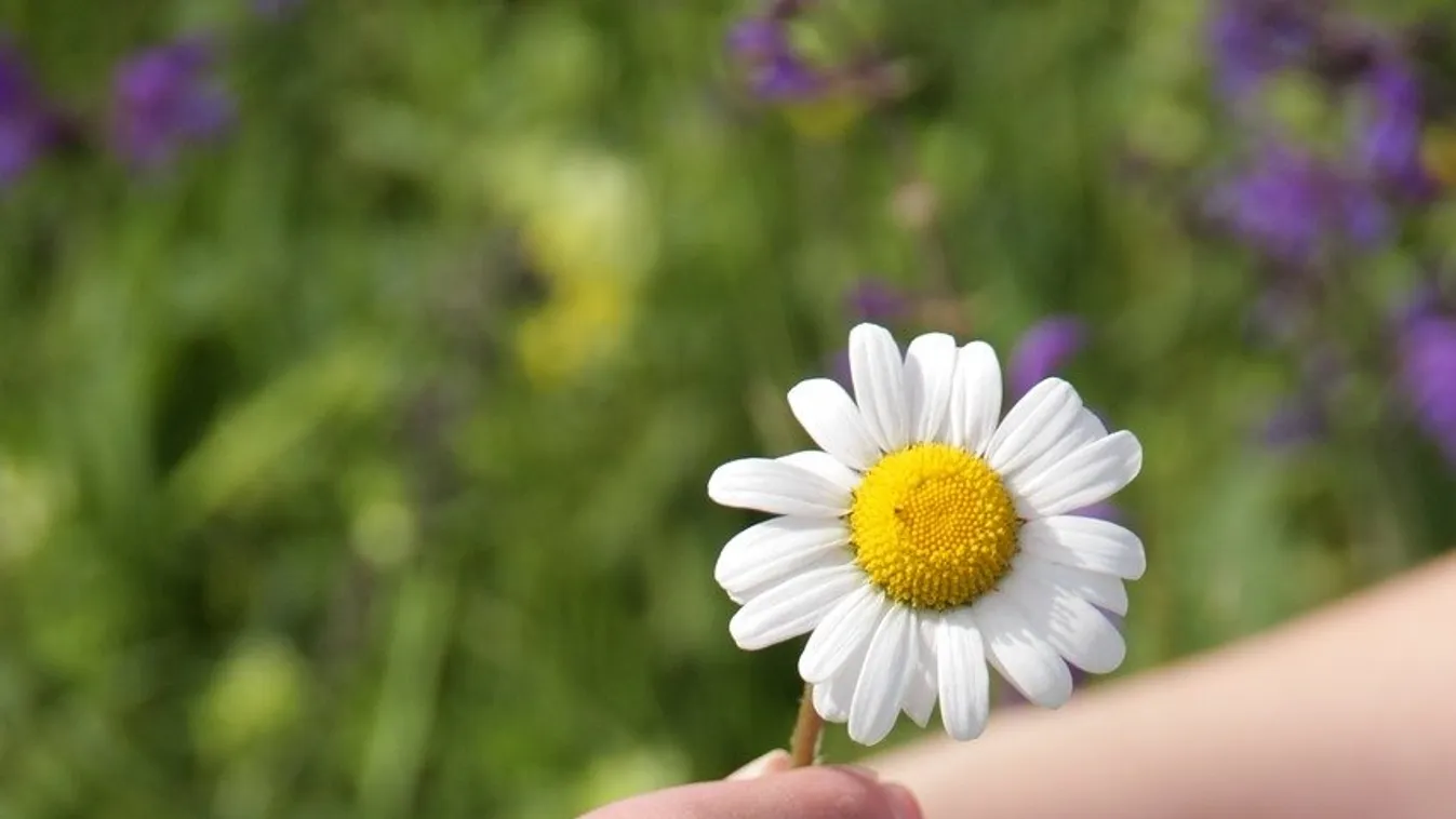 A mutatóujjad vagy a gyűrűsujjad hosszabb? Elképesztő, mit árul el rólad