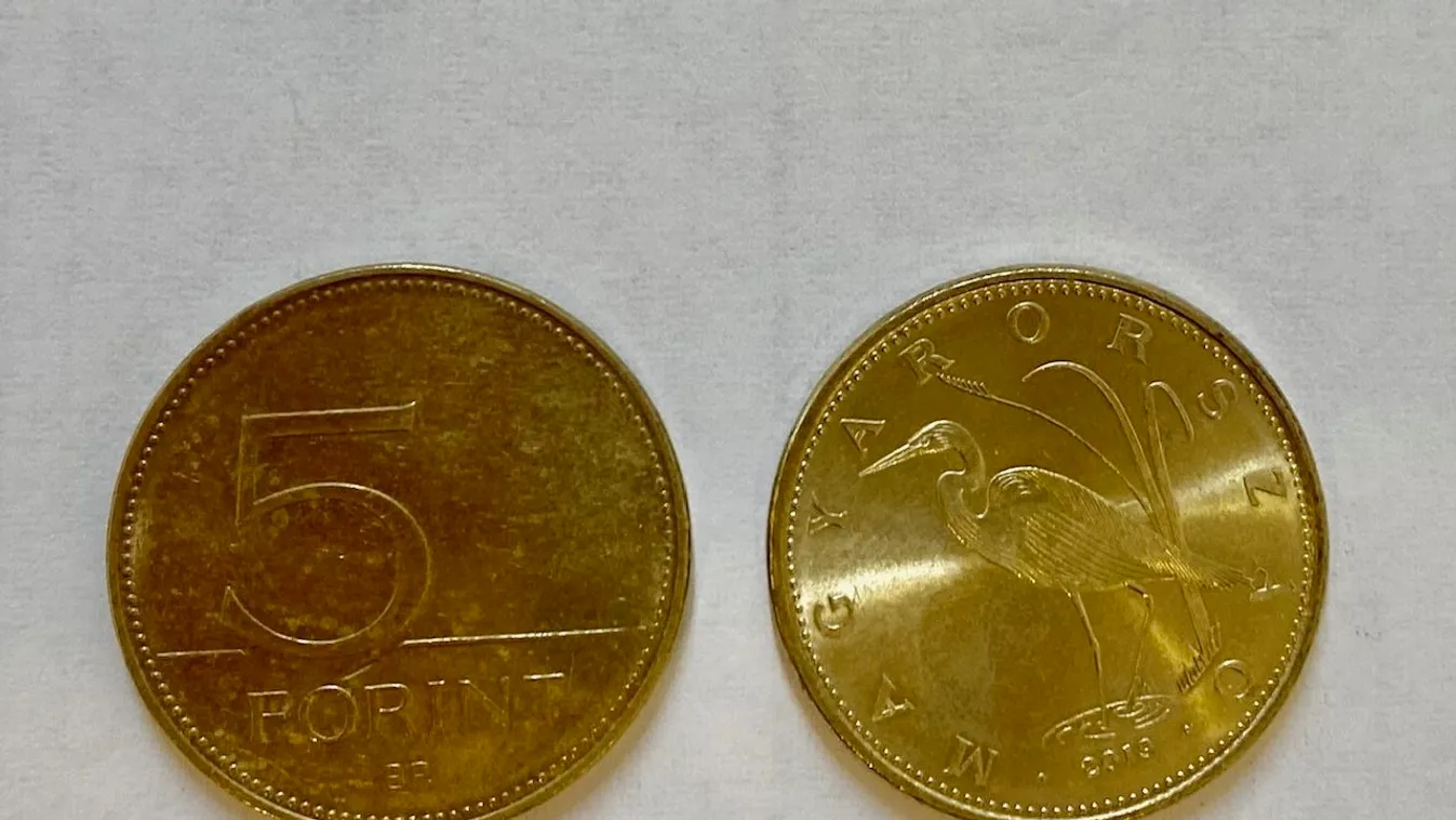 Szavazz, melyik legyen az új 5 forintos!