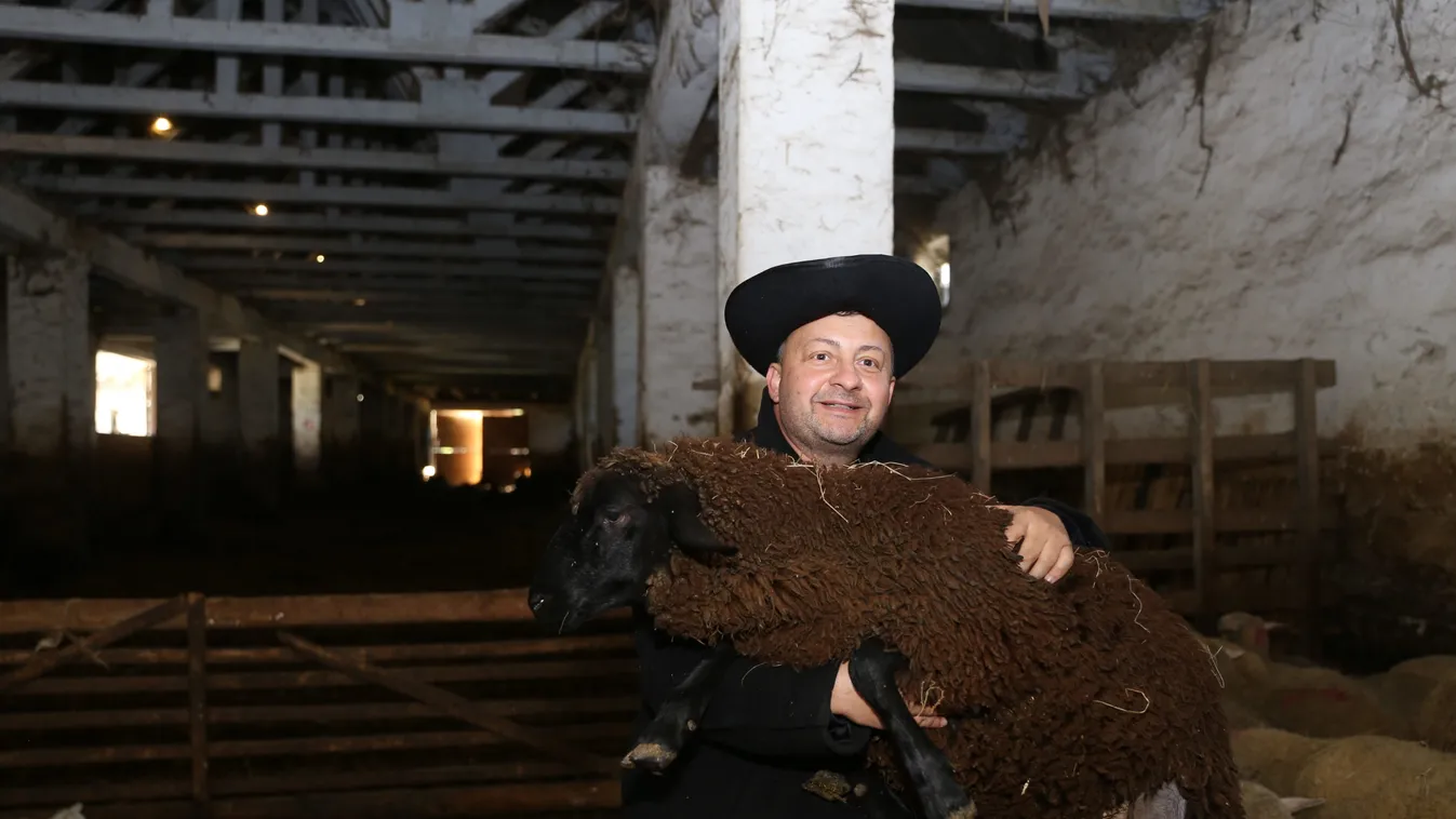 Hihetetlen, 530 millióért árulja az otthonát a magyar sztár, ezért költözik