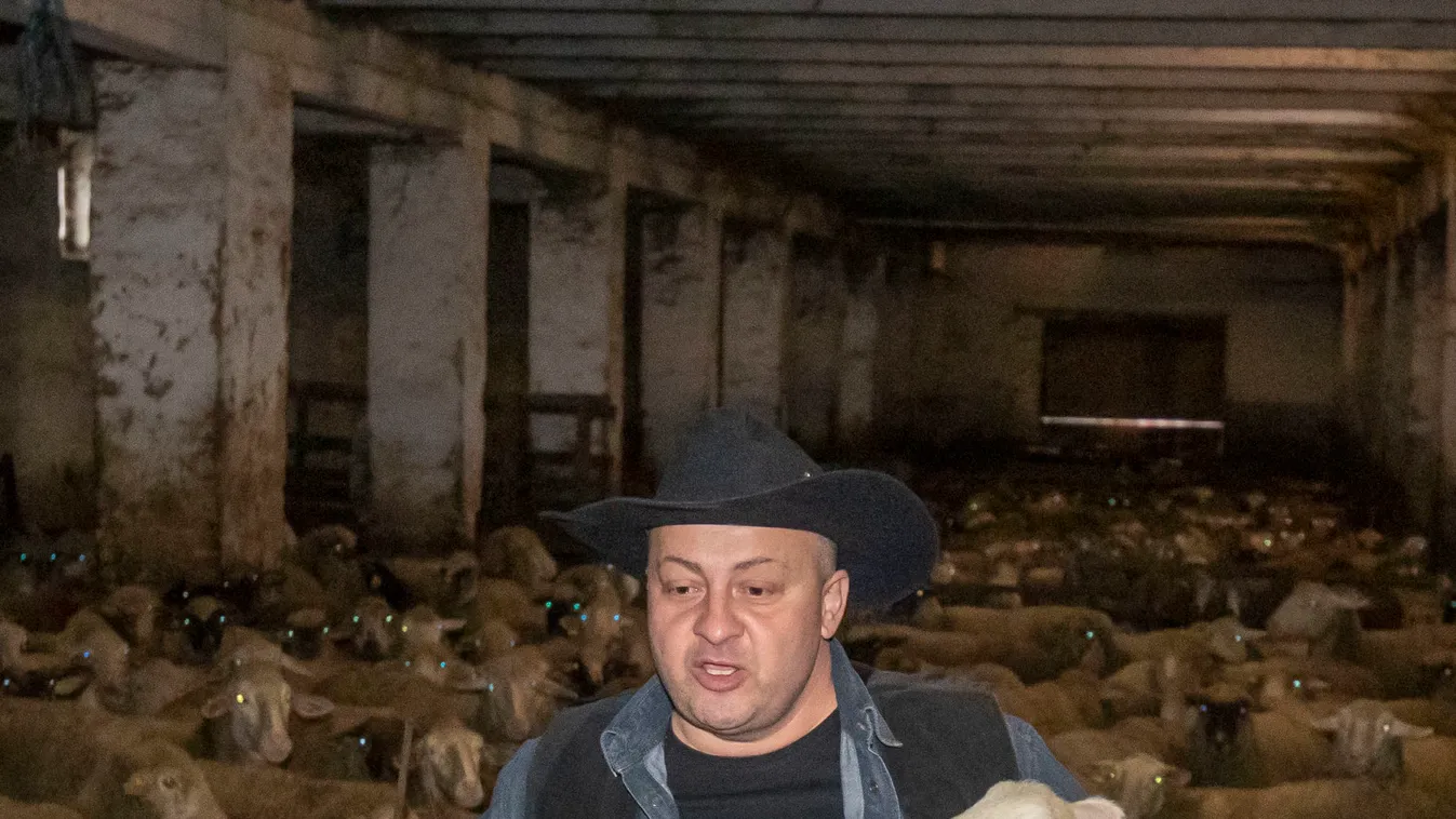 Gáspár Zsolti: Én jó testvére vagyok Győzőnek, de az én családom nem eladó