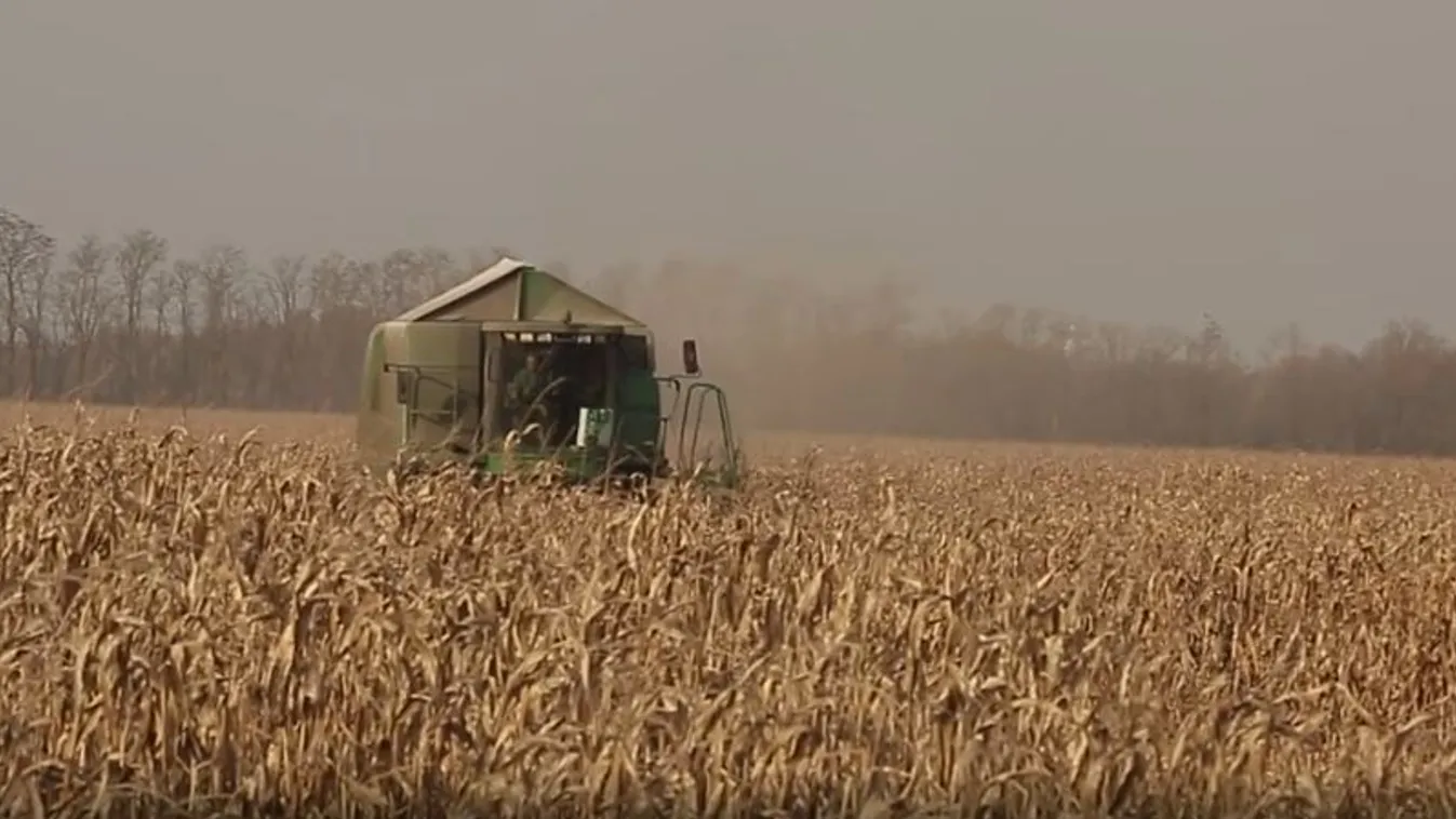 Újra lendületben a vidék, ezt érdemes tudnod róla