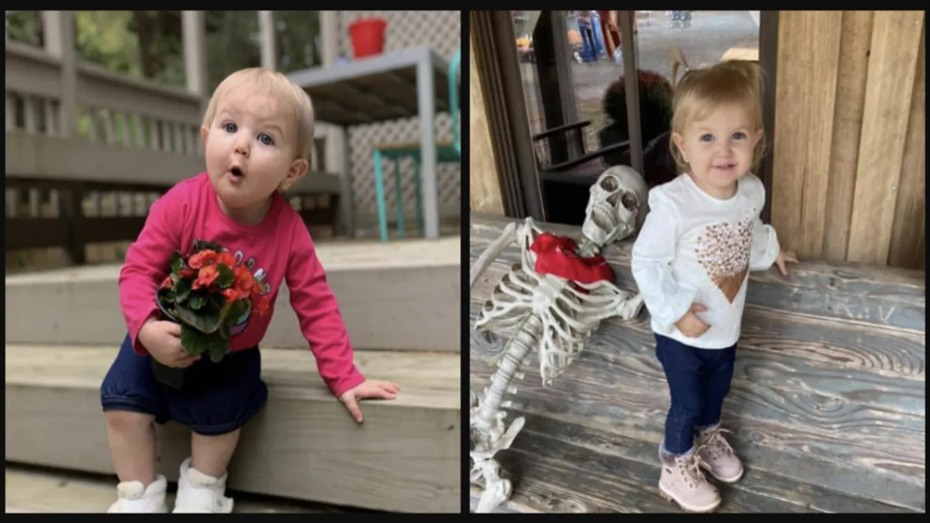 Sokkoló: ezekre keresett rá a neten a szörnyeteg bébiszitter, aki utána megölte a bűbájos kislányt