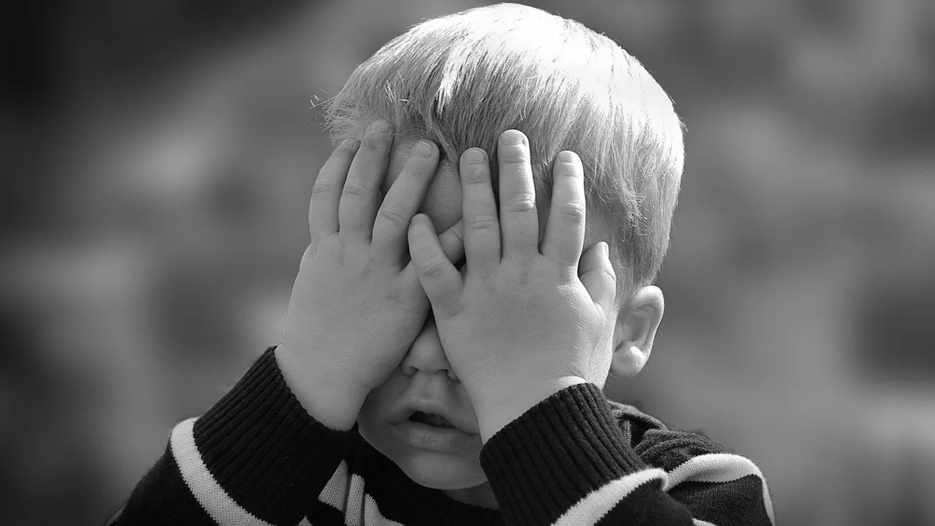 „Remegtem, amikor megláttam" - ezt találta a 6 éves kisfiú játék közben