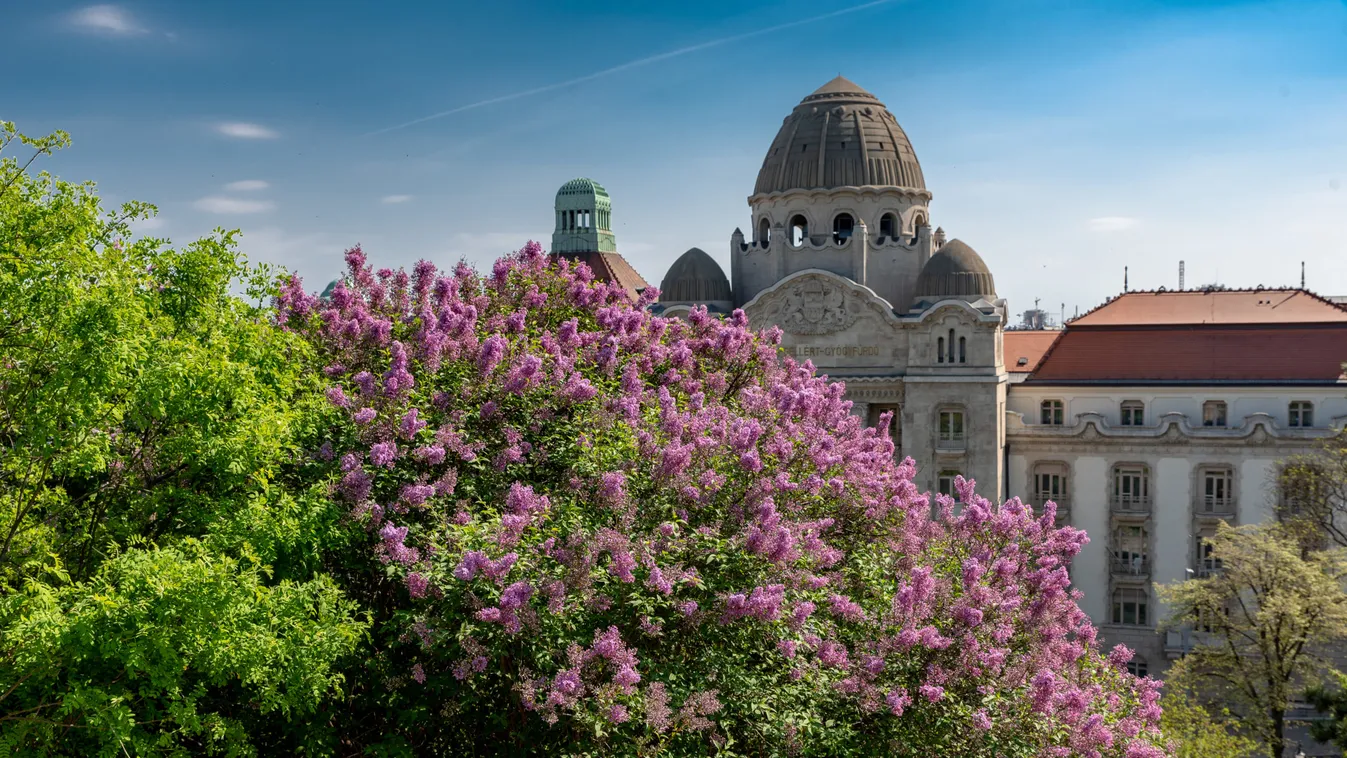 A mai időjárás végre nagy fordulatot ígér, így érkezik meg a tavasz