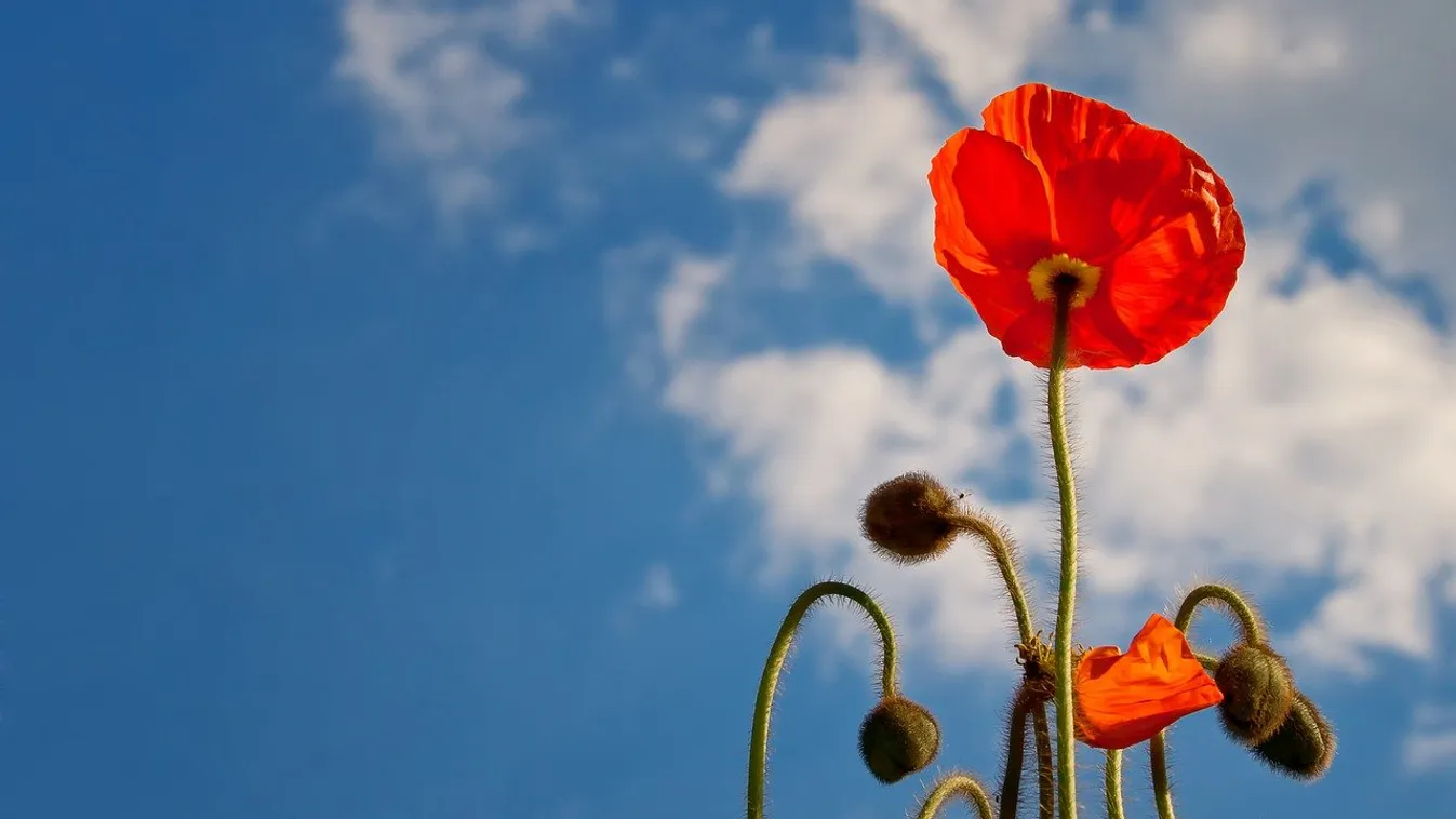 Itt a tavasz első hete: egy hidegfront teszi tönkre a napsütéses időt