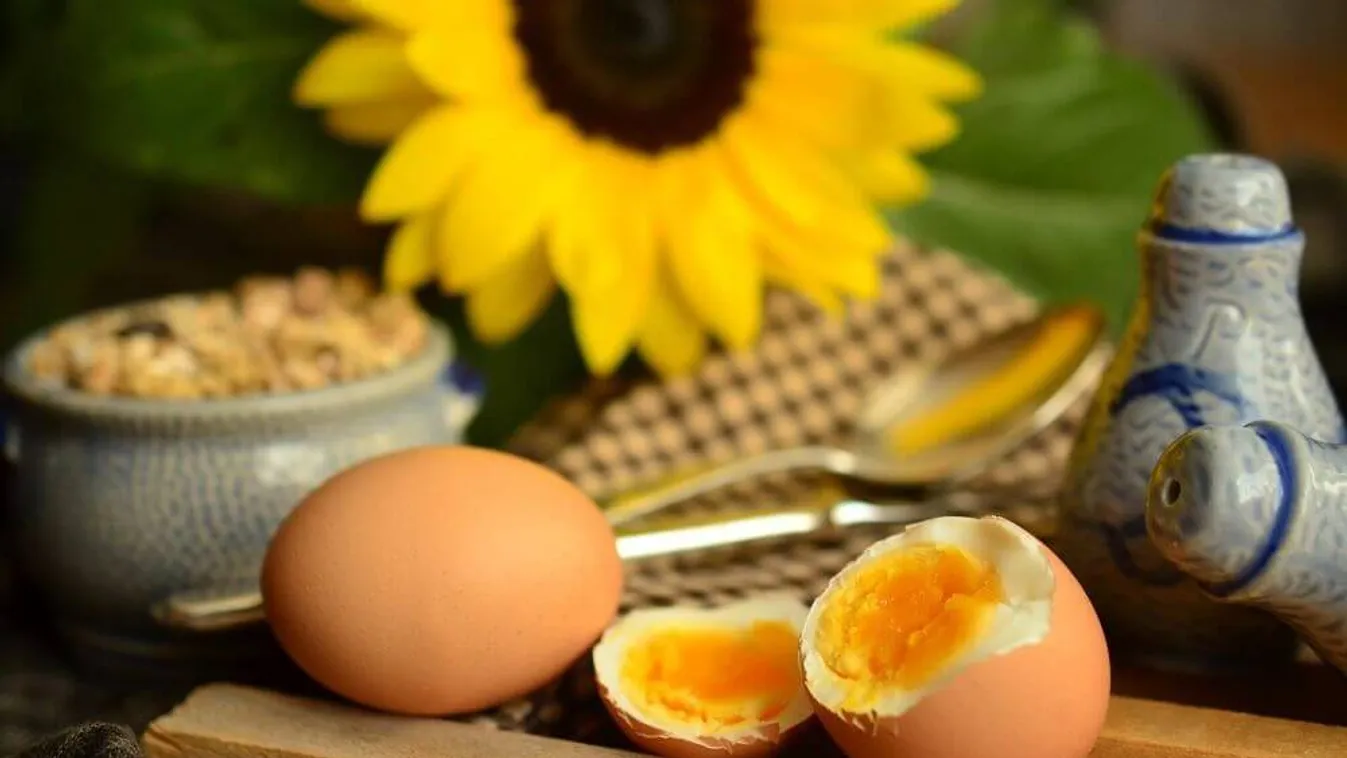 Ez történik a testeddel, ha egy hét alatt ötször is tojást eszel reggelire