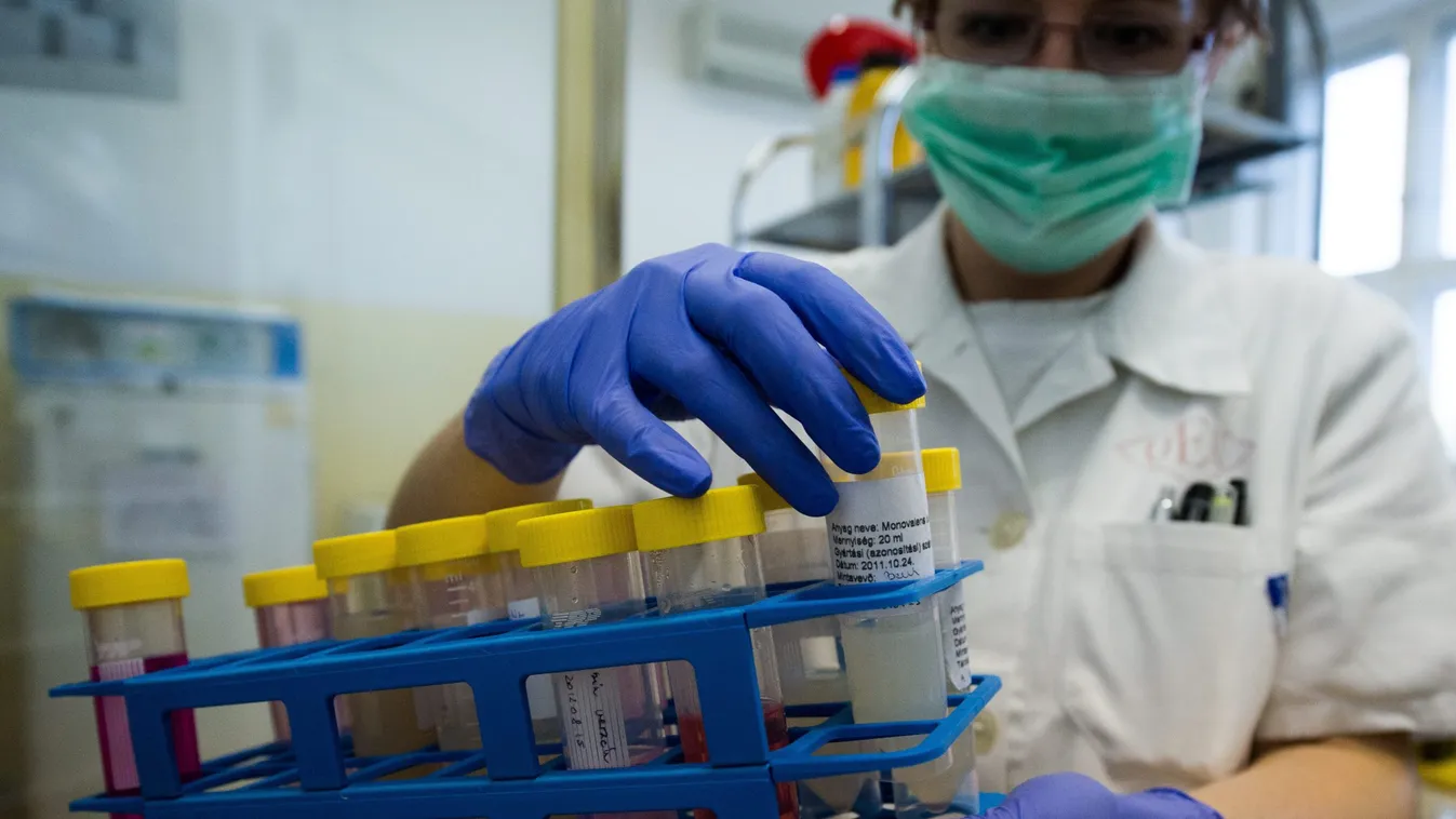 Sokkoló: itt a leleplező tanulmány a brazil mutánsról