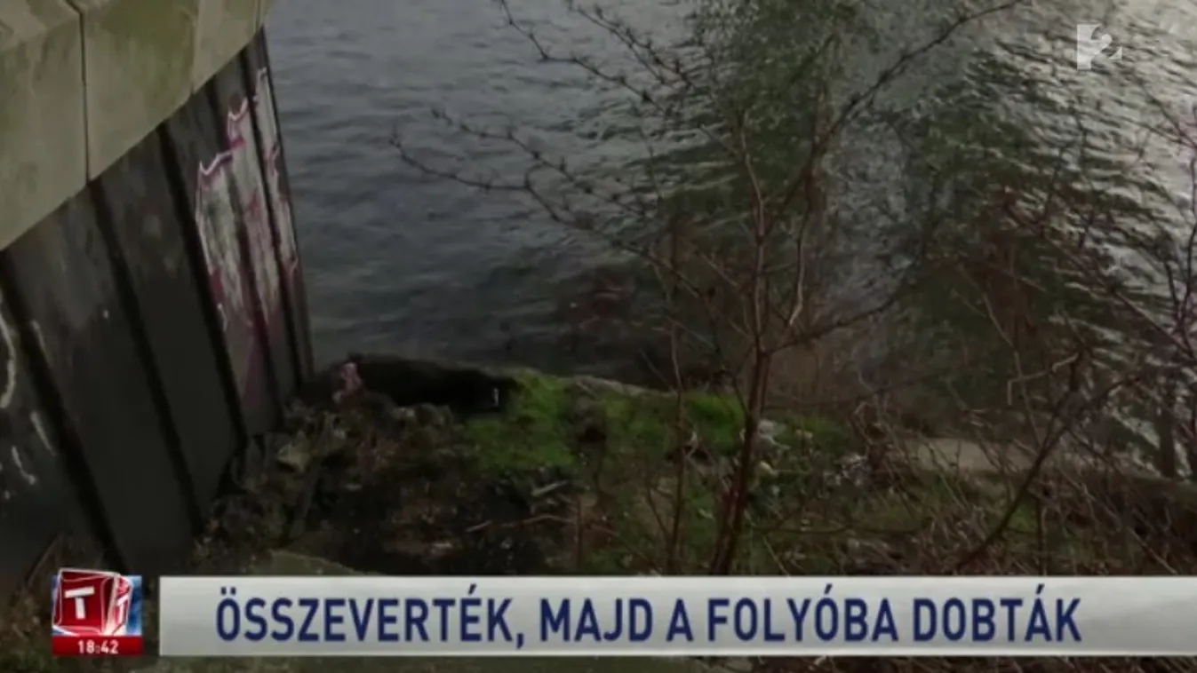 "A lányom nincs többé" - kivégezték osztálytársai a 14 éves tinilányt