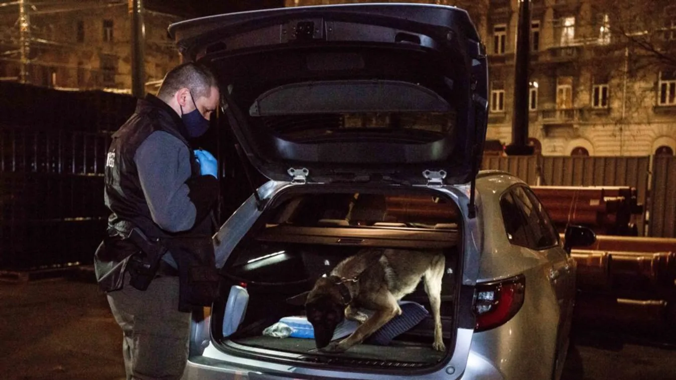 Így talált rá Tywin, a kábítószer-kereső kutya egy kiló marihuánára