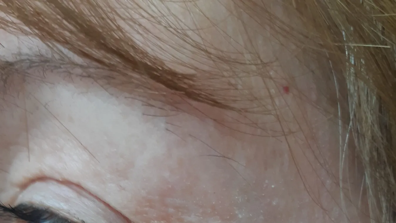 „Most meg akar ütni?” – kérdezte a nő a sofőrt, aki az öklével válaszolt