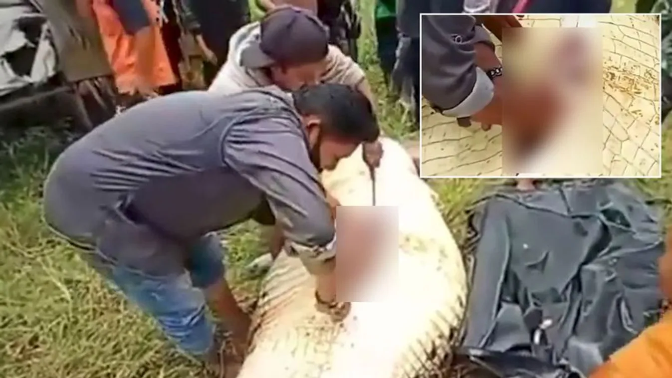 Borzalmas tragédia: egészben nyelte le a krokodil a nyolcéves kisfiút
