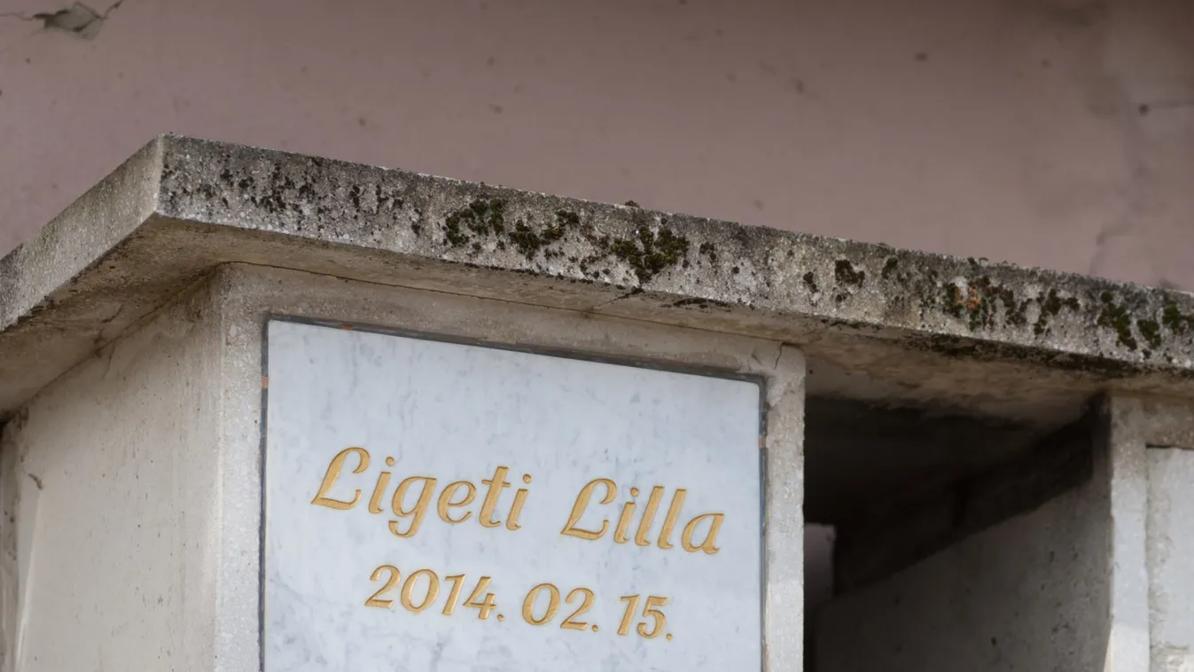 Gyertyák és virágok: félmilliós vérdíjat tűztek ki az egri csecsemőgyilkosra