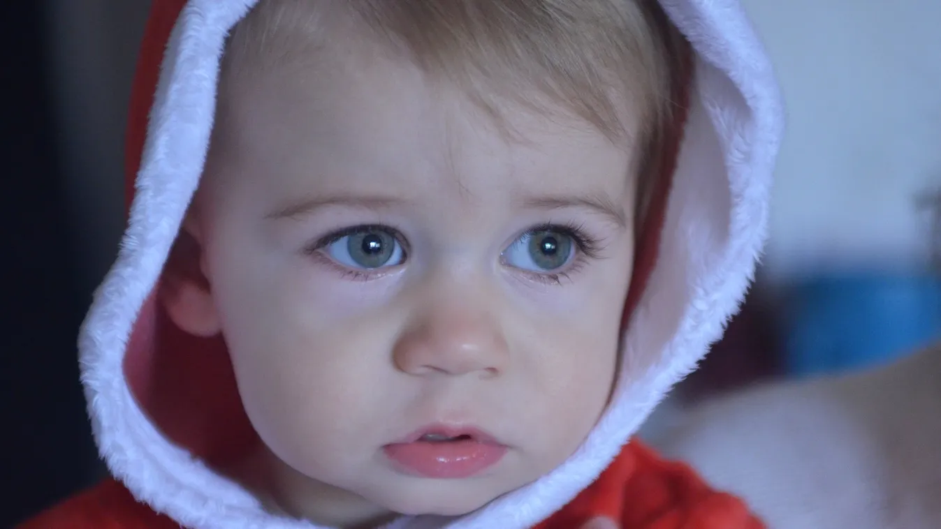 Összeszorul a szív: szörnyű kínok között vesztette életét a 21 hónapos kisbaba