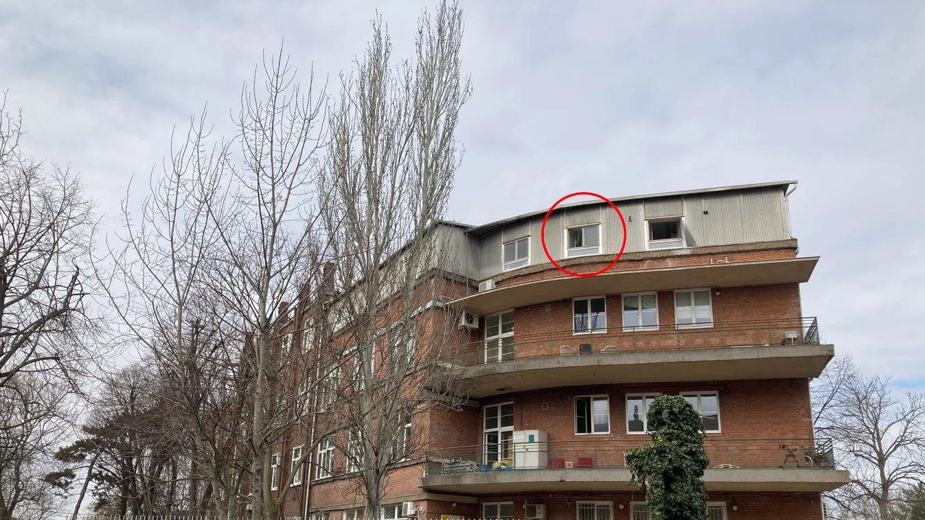 Drámai pillanatok: kiszökött a kórház tetejére a koronás Pali bácsi