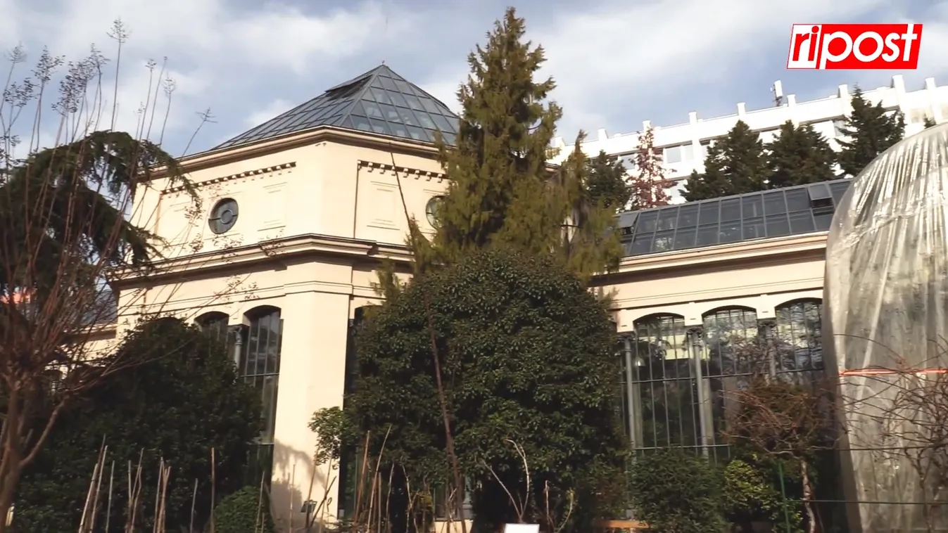 Máig megvan a medence, ahol Nemecsek Ernő elrejtőzött a Füvészkertben – Videó