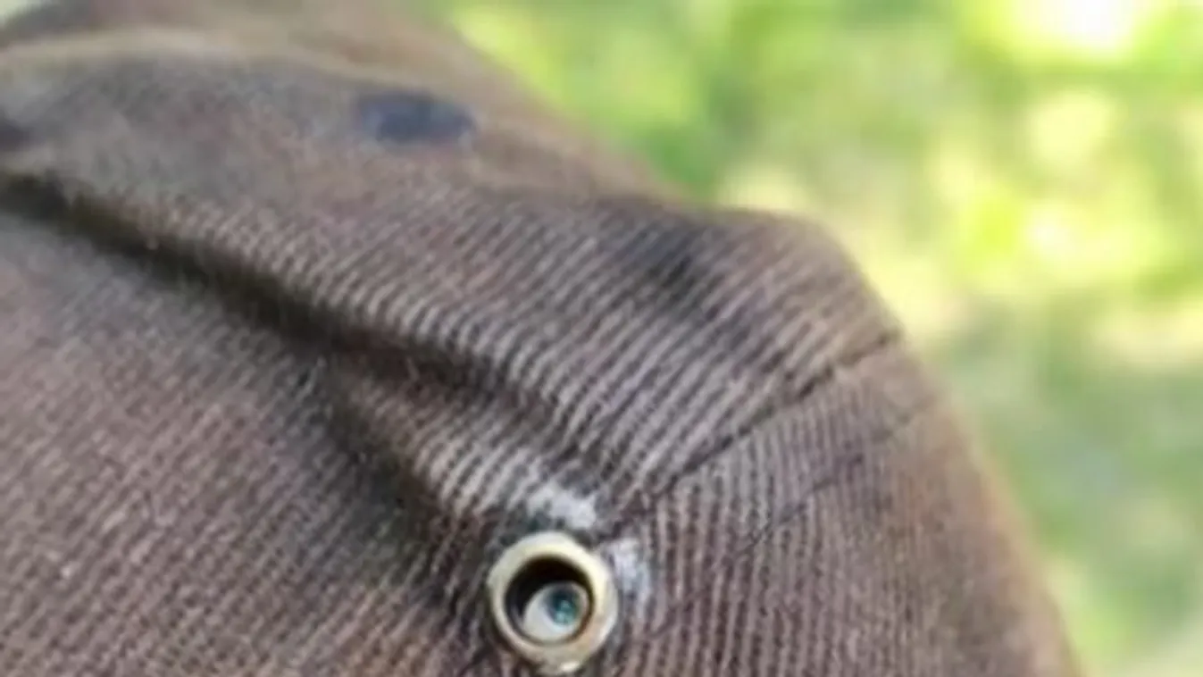 Undorító, mit tett ártatlan kislányokkal a győri pedofil, de megkapja a büntetését