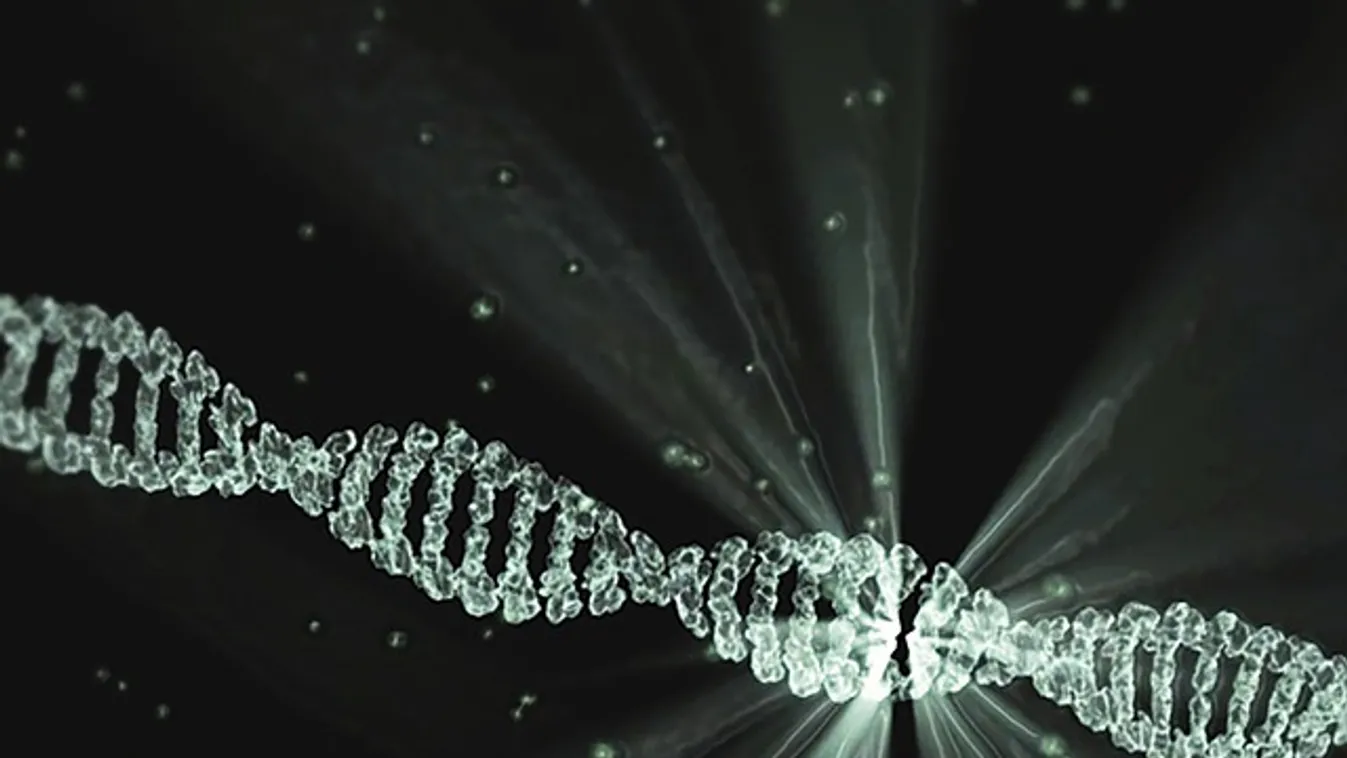 Akarod tudni, hogy meddig élsz? Íme, a géntérkép