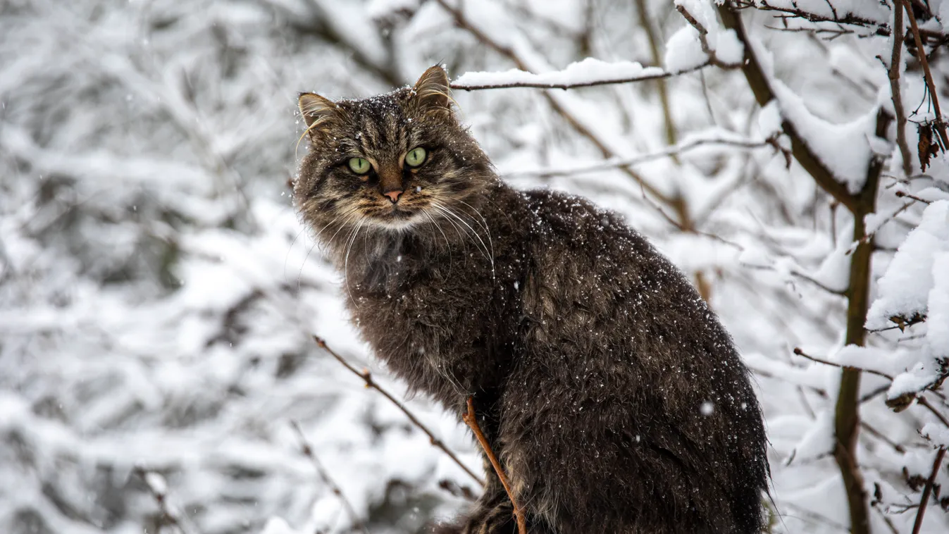Több helyen is havazik, ilyen képeket nem látsz mindig áprilisban