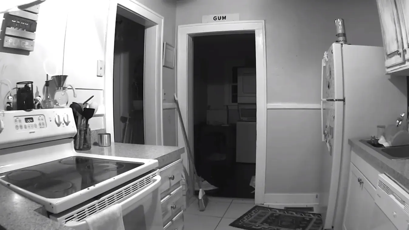 „Miért nem halhatok meg?” - szellem szállta meg egy fiatal lány konyháját - Videó