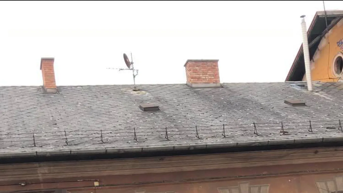 Nemrég egy holttestet találtak a zombivá vált lányok közelében