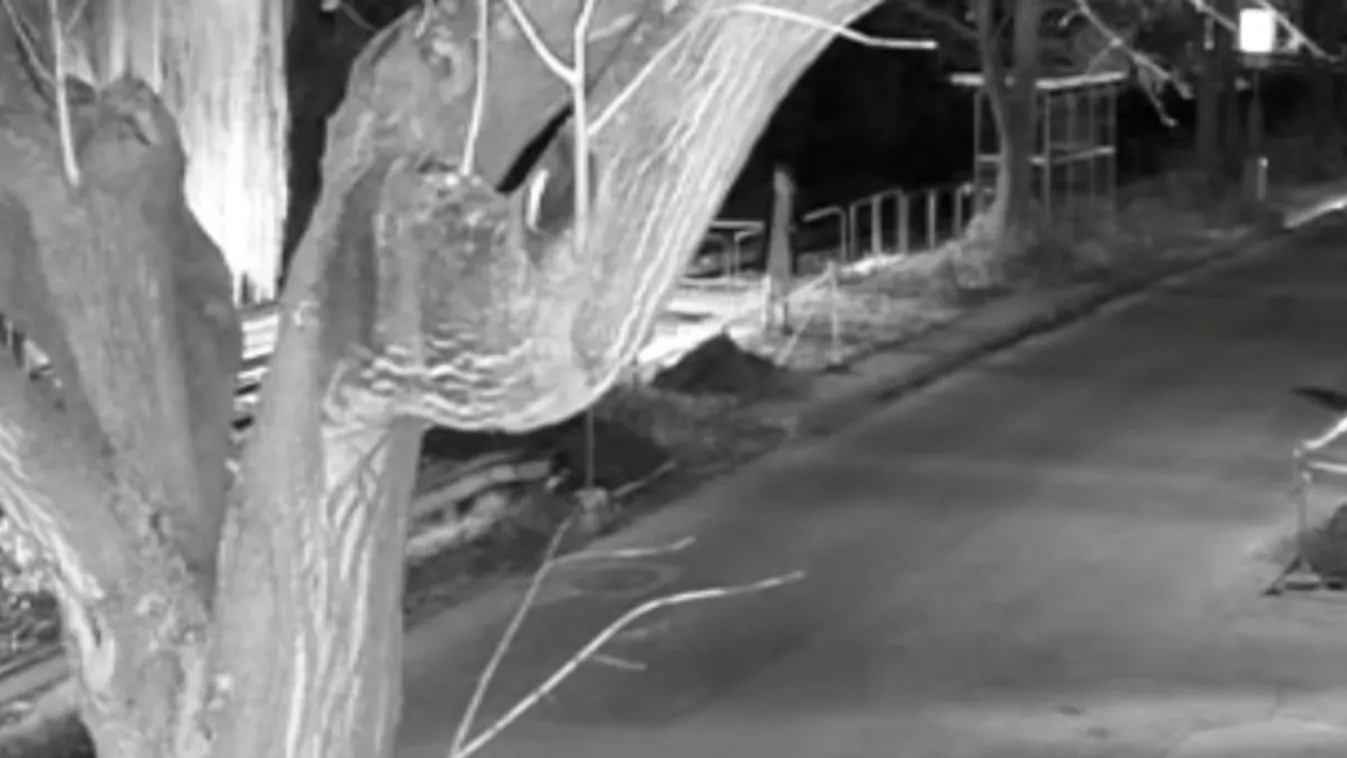 Döbbenetes videó: Gödörbe zuhant férfit hagytak meghalni Budapesten