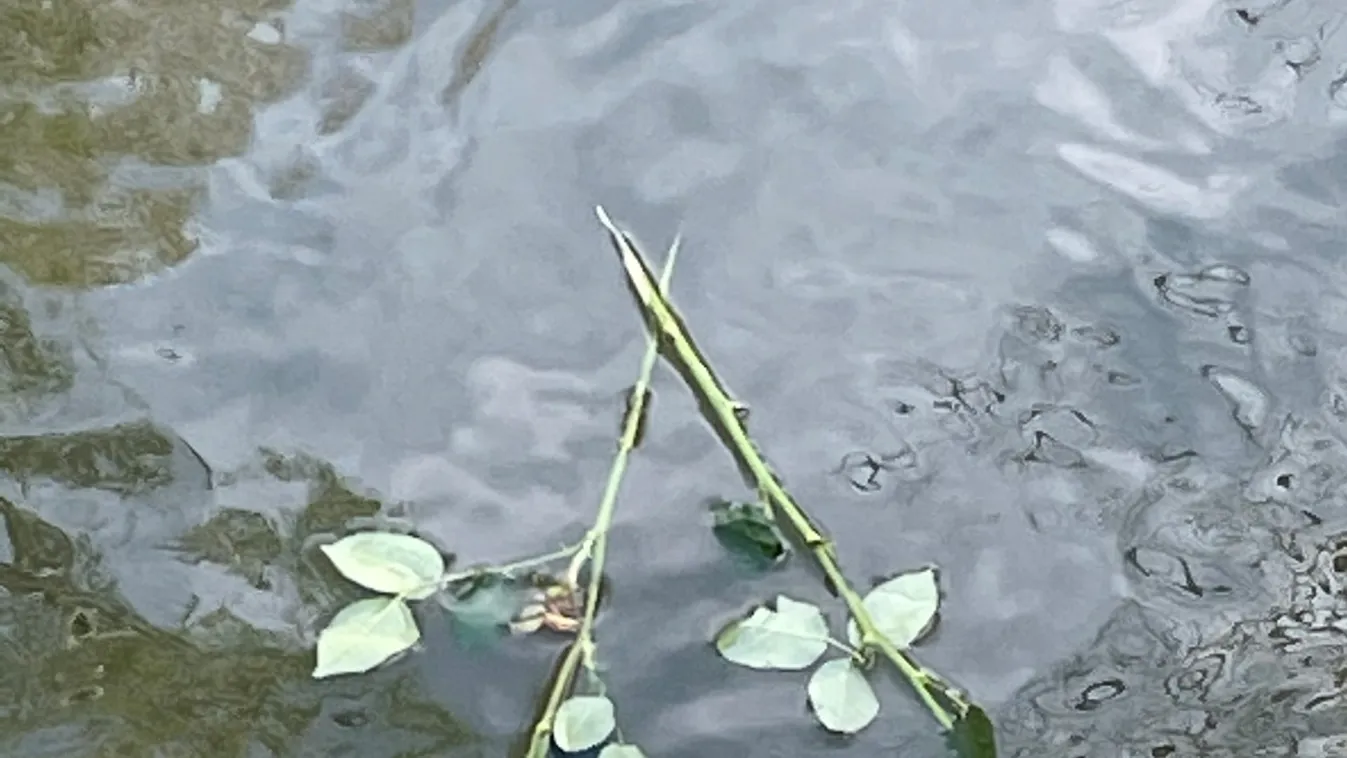 Most érkezett: Teljesítették Törőcsik Mari végakaratát