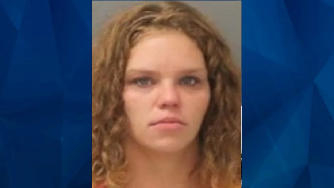 Felfoghatatlan: jéggel töltött táskában holtan találtak egy csecsemőt