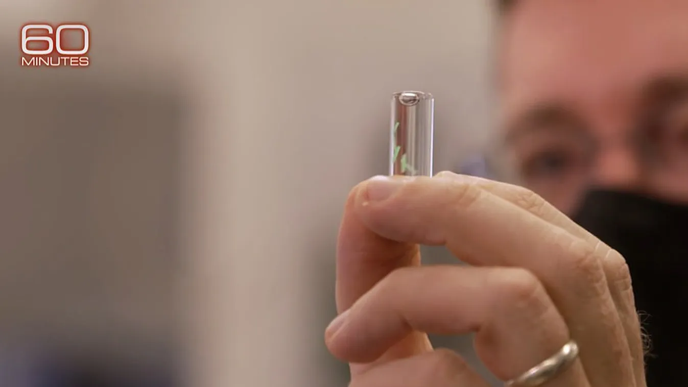 Bőr alá ültethető microchippel előzné meg a járványokat az amerikai védelmi minisztérium