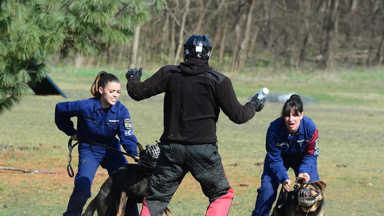 Rendőrkutyák akcióban: Te tudtad ezeket róluk?